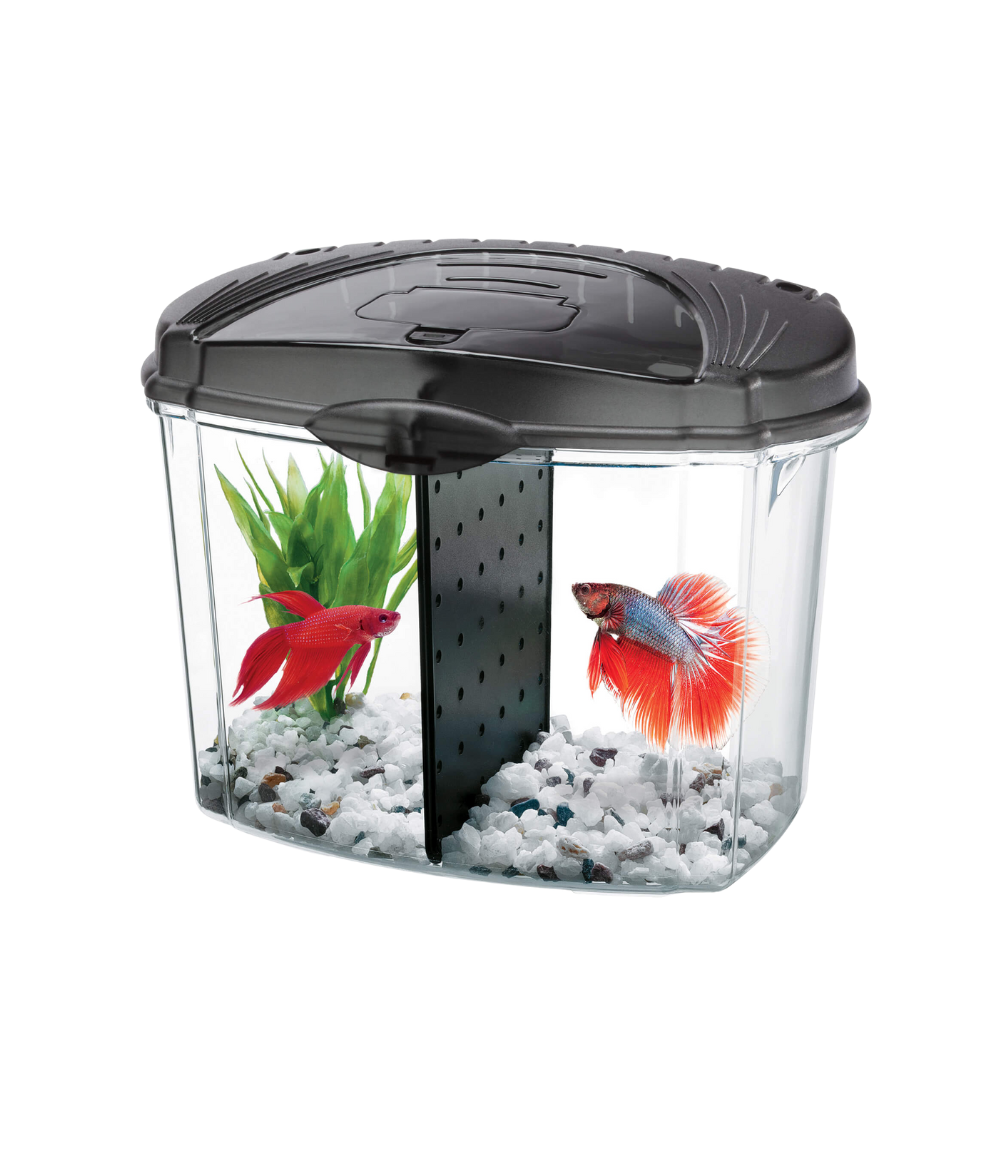 Betta Bowl Kits Black