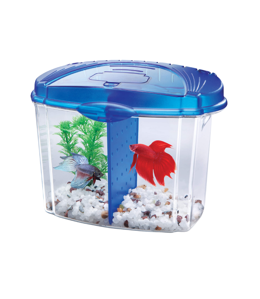 Betta Bowl Kits