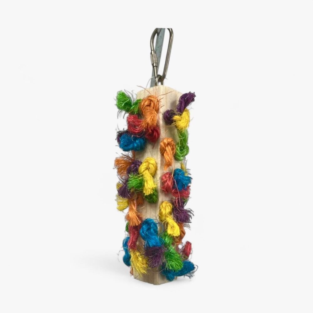Hanging Bird Toy with Wooden Block & Colorful Rope Knots